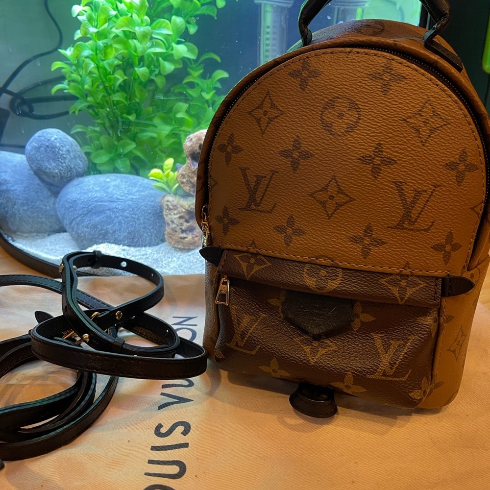 Louis Vuitton Reverse Mini Palm Springs Backpack